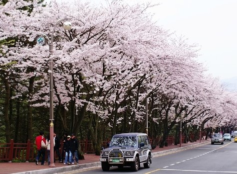 海云台迎月路