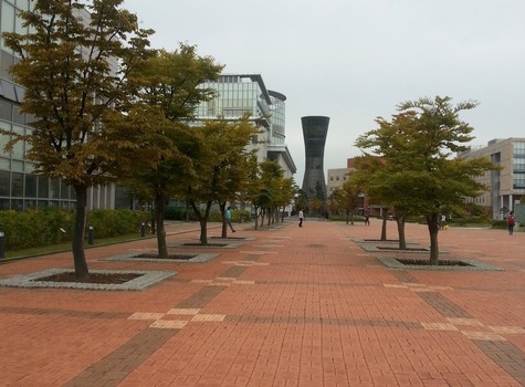 仁川大学